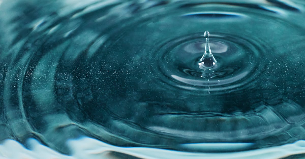 discover the importance of transparent reporting in enhancing accountability and trust within organizations. learn how clear and honest communication fosters better decision-making and strengthens stakeholder relationships.